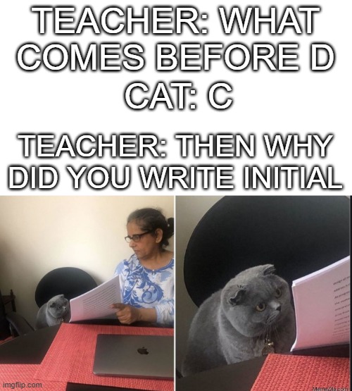 Then why did you write | TEACHER: WHAT COMES BEFORE D; CAT: C; TEACHER: THEN WHY DID YOU WRITE INITIAL | image tagged in then why did you write,memes | made w/ Imgflip meme maker