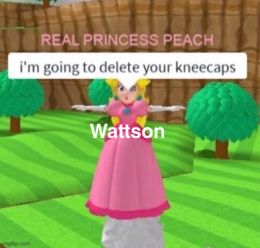 report that | image tagged in roblox peach | made w/ Imgflip meme maker