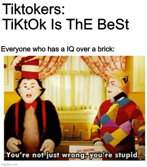 That downvotes are from all the tiktokers - Imgflip