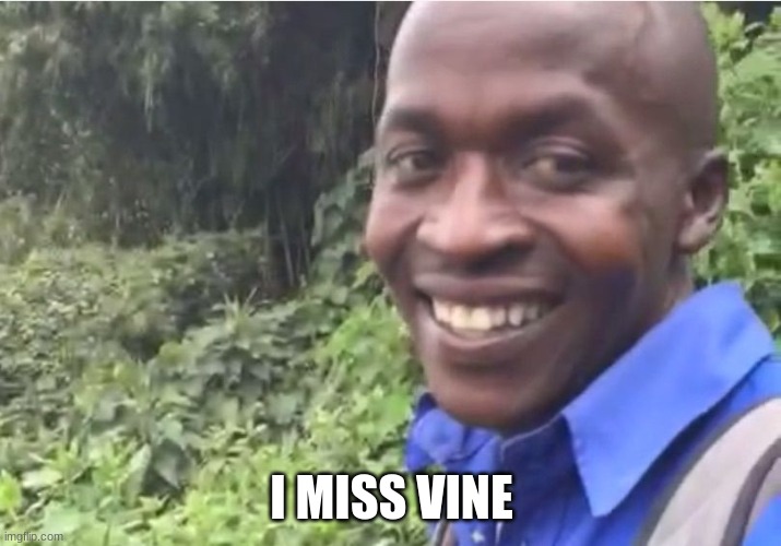 Okay vine | I MISS VINE | image tagged in okay vine | made w/ Imgflip meme maker