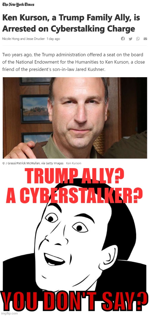 Surely allies of the President wouldn't know anything about online harassment | TRUMP ALLY? A CYBERSTALKER? YOU DON'T SAY? | image tagged in you don't say,stalker,trump supporters,harassment | made w/ Imgflip meme maker