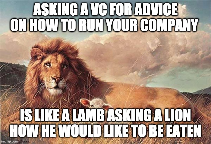 lion and lamb | ASKING A VC FOR ADVICE ON HOW TO RUN YOUR COMPANY; IS LIKE A LAMB ASKING A LION HOW HE WOULD LIKE TO BE EATEN | image tagged in lion and lamb | made w/ Imgflip meme maker