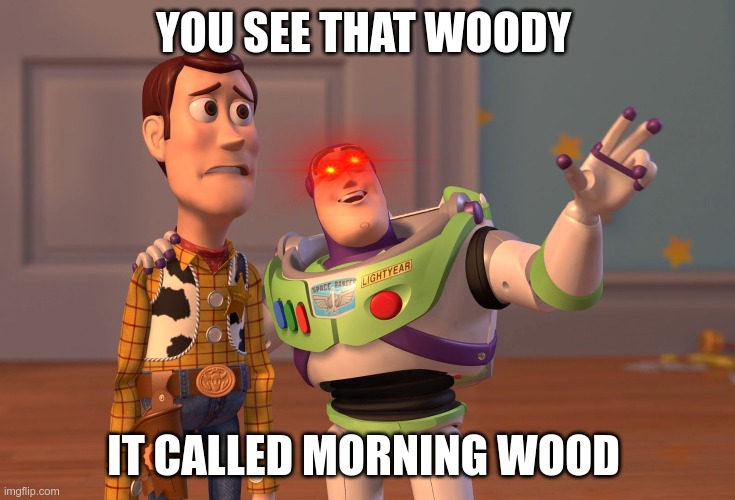 X, X Everywhere Meme | YOU SEE THAT WOODY; IT CALLED MORNING WOOD | image tagged in memes,x x everywhere | made w/ Imgflip meme maker