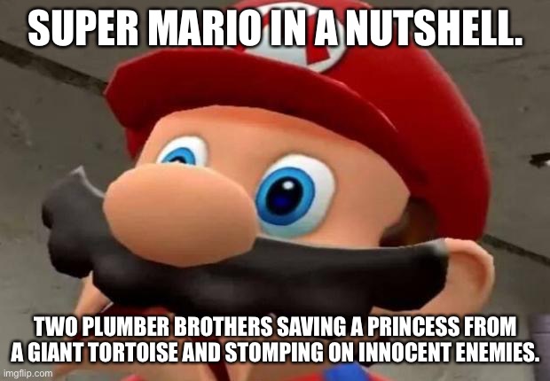 The reality of Super Mario | SUPER MARIO IN A NUTSHELL. TWO PLUMBER BROTHERS SAVING A PRINCESS FROM A GIANT TORTOISE AND STOMPING ON INNOCENT ENEMIES. | image tagged in mario wtf | made w/ Imgflip meme maker
