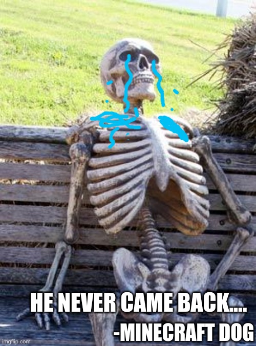 Waiting Skeleton | HE NEVER CAME BACK.... -MINECRAFT DOG | image tagged in memes,waiting skeleton | made w/ Imgflip meme maker