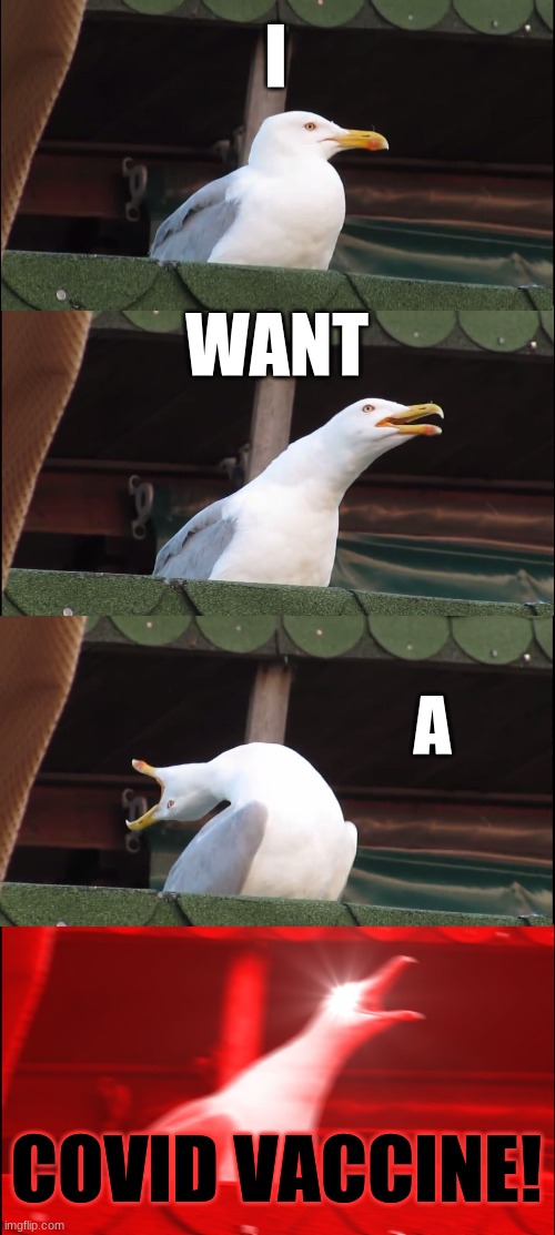 Inhaling Seagull | I; WANT; A; COVID VACCINE! | image tagged in memes,inhaling seagull | made w/ Imgflip meme maker