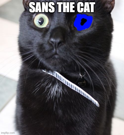 Woah Kitty |  SANS THE CAT | image tagged in memes,woah kitty | made w/ Imgflip meme maker