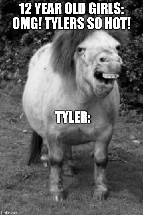 Tylers so hot | 12 YEAR OLD GIRLS: OMG! TYLERS SO HOT! TYLER: | image tagged in ugly horse | made w/ Imgflip meme maker