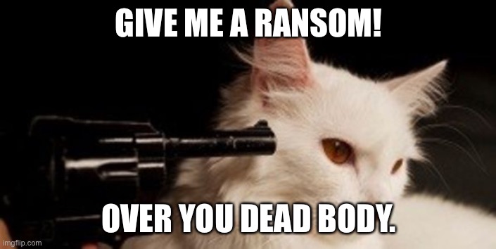 Sticky situation | GIVE ME A RANSOM! OVER YOU DEAD BODY. | image tagged in dead cat | made w/ Imgflip meme maker
