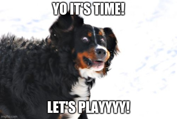 Crazy Dawg |  YO IT'S TIME! LET'S PLAYYYY! | image tagged in memes,crazy dawg | made w/ Imgflip meme maker
