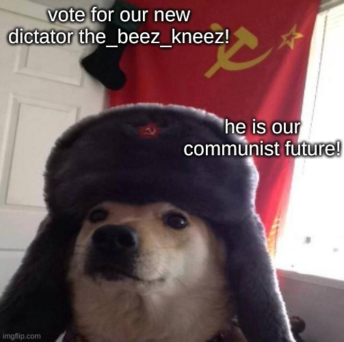 Russian Doge | vote for our new dictator the_beez_kneez! he is our communist future! | image tagged in russian doge | made w/ Imgflip meme maker