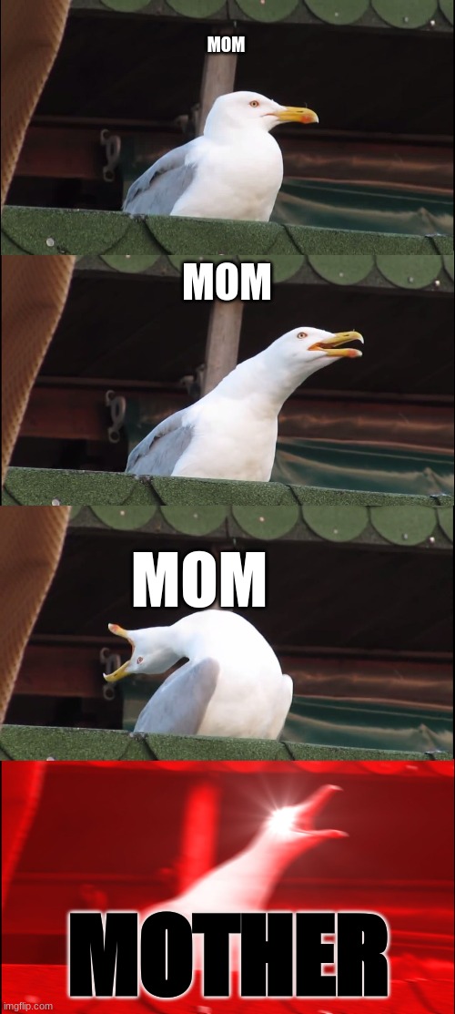 me when the WIFI gose out | MOM; MOM; MOM; MOTHER | image tagged in memes,inhaling seagull | made w/ Imgflip meme maker