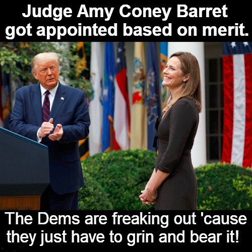 We Are Now Totally Ruthless. | image tagged in amy coney barret,scotus,grin and bear it,trump scotus pick,triggering liberals,ruthless | made w/ Imgflip meme maker
