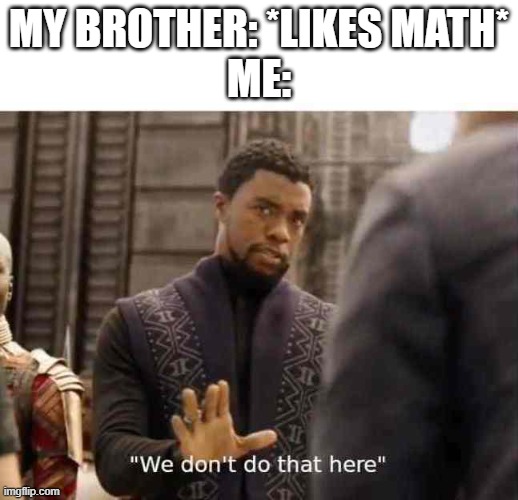 we dont do that here | MY BROTHER: *LIKES MATH*
ME: | image tagged in we dont do that here | made w/ Imgflip meme maker
