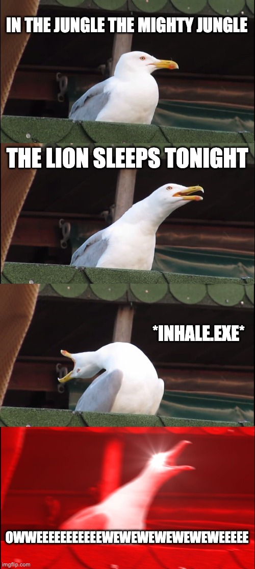 in the jungle | IN THE JUNGLE THE MIGHTY JUNGLE; THE LION SLEEPS TONIGHT; *INHALE.EXE*; OWWEEEEEEEEEEEWEWEWEWEWEWEWEEEEE | image tagged in memes,inhaling seagull | made w/ Imgflip meme maker