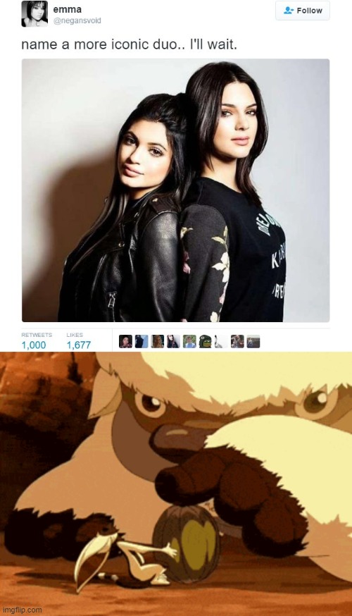 appa and momo | image tagged in name a more iconic duo | made w/ Imgflip meme maker