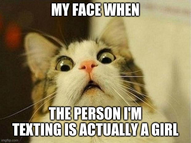 Scared Cat Meme | MY FACE WHEN; THE PERSON I'M TEXTING IS ACTUALLY A GIRL | image tagged in memes,scared cat | made w/ Imgflip meme maker
