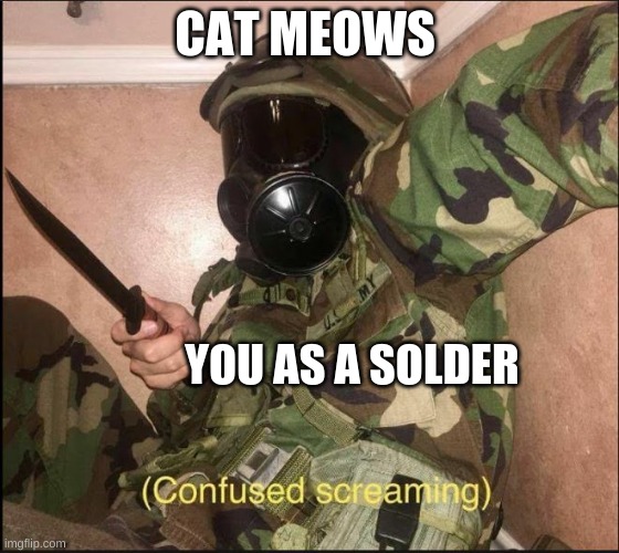 scary cat |  CAT MEOWS; YOU AS A SOLDER | image tagged in confused screaming but with gas mask | made w/ Imgflip meme maker