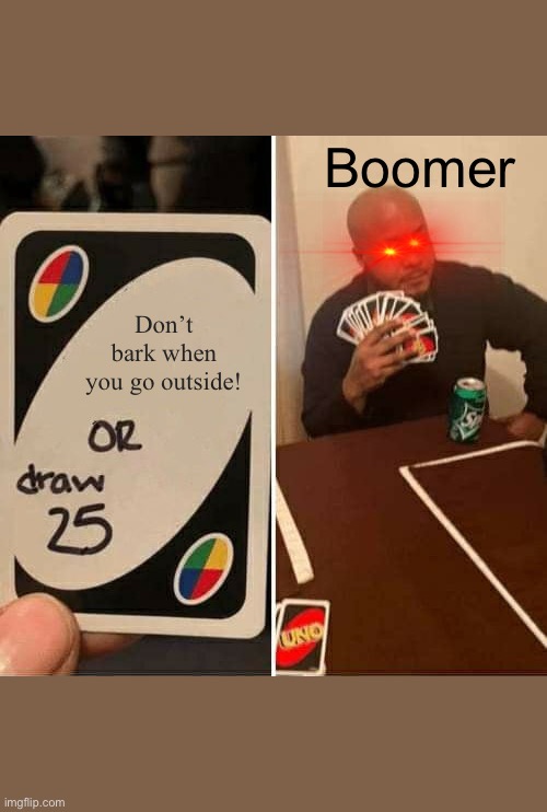Cute doggo11 YT | Boomer; Don’t bark when you go outside! | image tagged in memes,uno draw 25 cards | made w/ Imgflip meme maker
