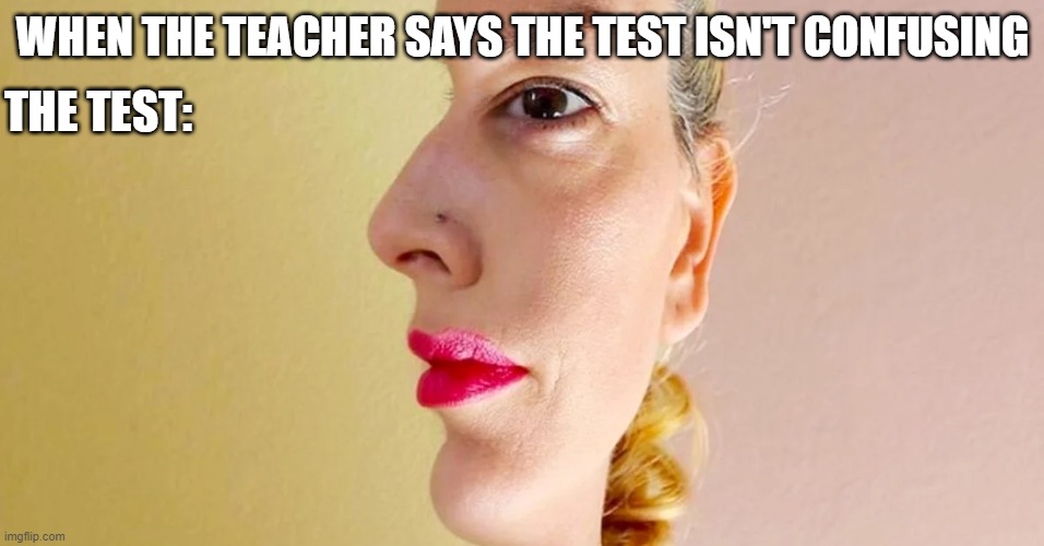 my brain has officially exploded | THE TEST:; WHEN THE TEACHER SAYS THE TEST ISN'T CONFUSING | image tagged in weird | made w/ Imgflip meme maker