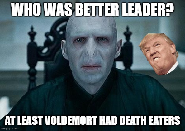 Lord Voldemort | WHO WAS BETTER LEADER? AT LEAST VOLDEMORT HAD DEATH EATERS | image tagged in lord voldemort | made w/ Imgflip meme maker