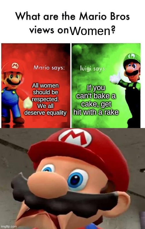 Women; All women should be respected. We all deserve equality; If you can't bake a cake, get hit with a rake | image tagged in mario wtf,mario bros views | made w/ Imgflip meme maker