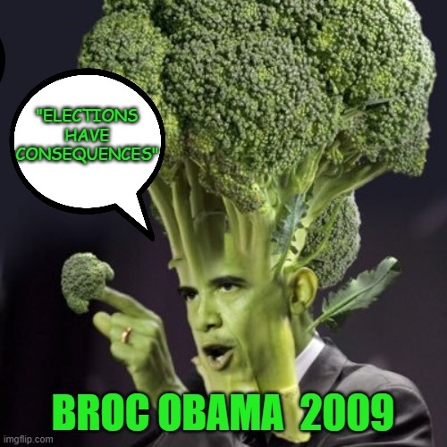 "ELECTIONS HAVE CONSEQUENCES" BROC OBAMA  2009 | made w/ Imgflip meme maker