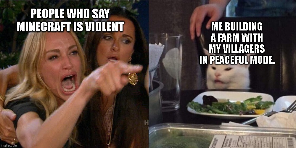 Woman yelling at cat | ME BUILDING A FARM WITH MY VILLAGERS IN PEACEFUL MODE. PEOPLE WHO SAY MINECRAFT IS VIOLENT | image tagged in woman yelling at cat | made w/ Imgflip meme maker