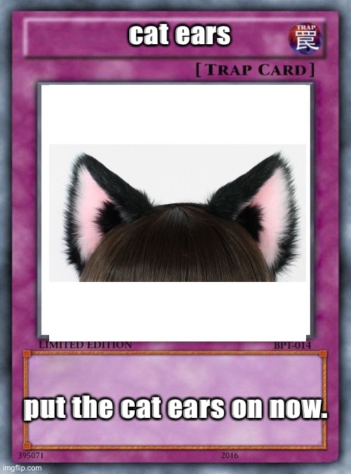 cat ears; put the cat ears on now. | made w/ Imgflip meme maker