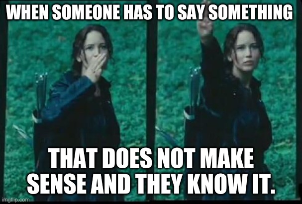 Hunger games  | WHEN SOMEONE HAS TO SAY SOMETHING; THAT DOES NOT MAKE SENSE AND THEY KNOW IT. | image tagged in hunger games | made w/ Imgflip meme maker