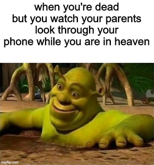 "i'm looking through your phone" that line alone is my worst nightmare! | when you're dead but you watch your parents look through your phone while you are in heaven | image tagged in shrek | made w/ Imgflip meme maker