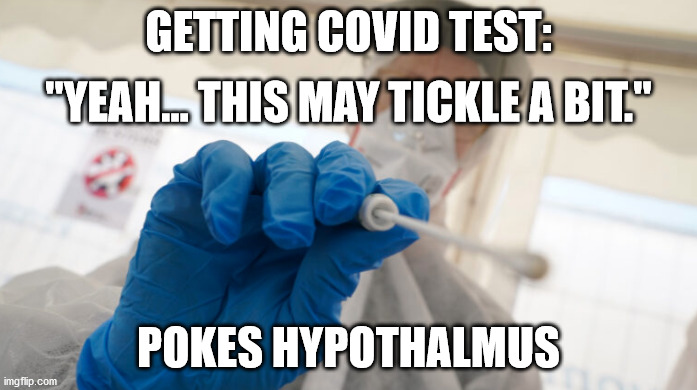 Deep Nose Covid Test | GETTING COVID TEST:; "YEAH... THIS MAY TICKLE A BIT."; POKES HYPOTHALMUS | image tagged in covid test,haiku,meme,covid-19 | made w/ Imgflip meme maker