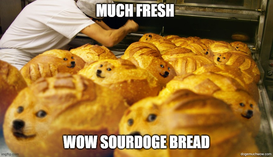 Sourdoge bread | MUCH FRESH; WOW SOURDOGE BREAD | image tagged in food | made w/ Imgflip meme maker