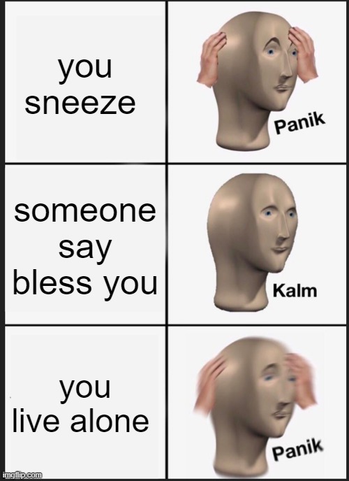 dfghjkll; | you sneeze; someone say bless you; you live alone | image tagged in memes,panik kalm panik | made w/ Imgflip meme maker