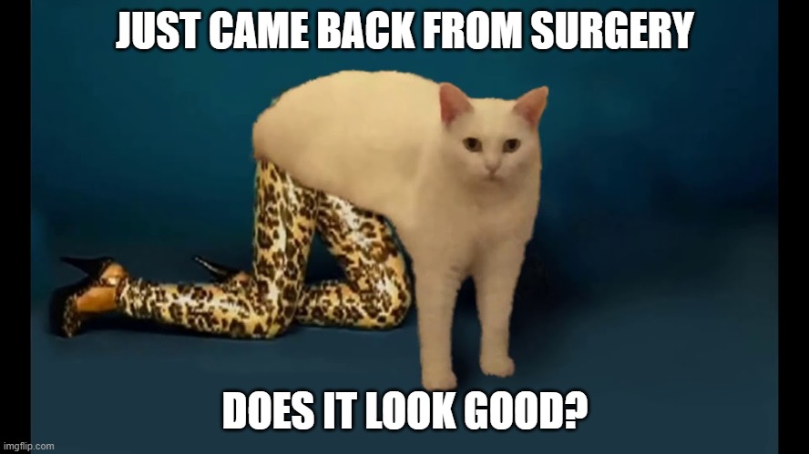 Came back from surgery, How is it | JUST CAME BACK FROM SURGERY; DOES IT LOOK GOOD? | image tagged in meme | made w/ Imgflip meme maker