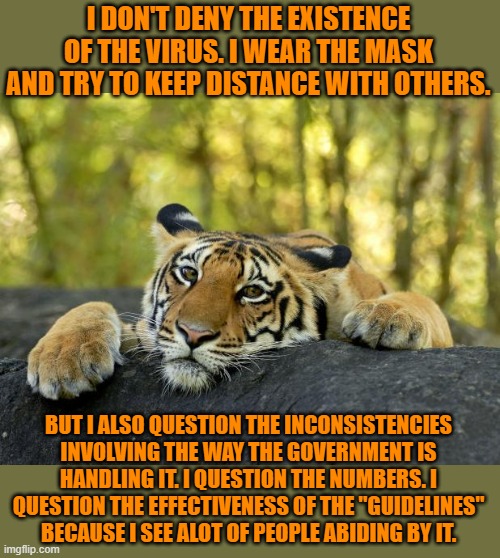 Confession Tiger | I DON'T DENY THE EXISTENCE OF THE VIRUS. I WEAR THE MASK AND TRY TO KEEP DISTANCE WITH OTHERS. BUT I ALSO QUESTION THE INCONSISTENCIES INVOL | image tagged in confession tiger | made w/ Imgflip meme maker