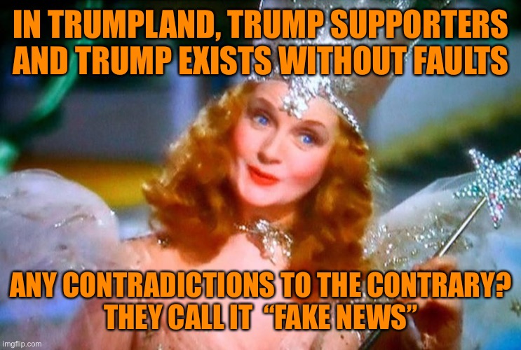 IN TRUMPLAND, TRUMP SUPPORTERS AND TRUMP EXISTS WITHOUT FAULTS ANY CONTRADICTIONS TO THE CONTRARY?
THEY CALL IT  “FAKE NEWS” | made w/ Imgflip meme maker