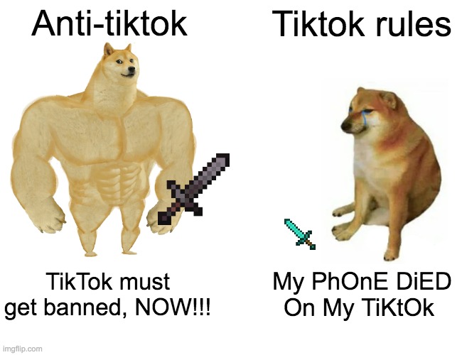 Buff Doge vs. Cheems | Anti-tiktok; Tiktok rules; TikTok must get banned, NOW!!! My PhOnE DiED On My TiKtOk | image tagged in memes,buff doge vs cheems | made w/ Imgflip meme maker