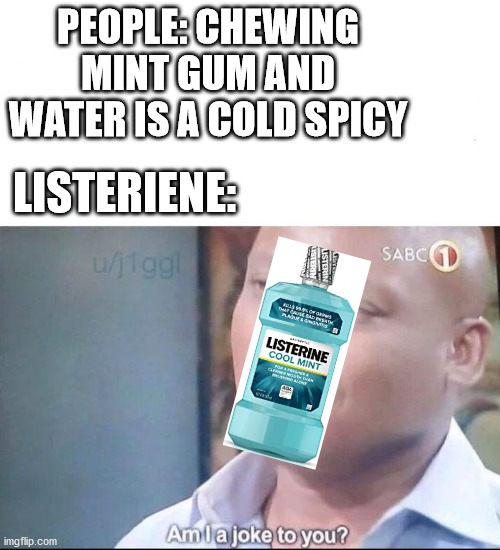 First time I tried it, it fucn burned by tongue off | PEOPLE: CHEWING MINT GUM AND WATER IS A COLD SPICY; LISTERIENE: | image tagged in am i a joke to you | made w/ Imgflip meme maker