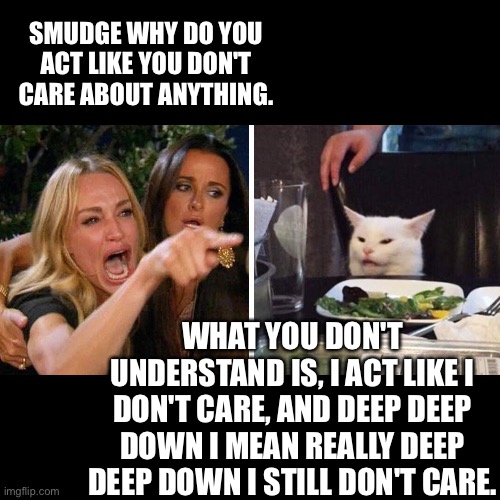 Woman yelling at cat | SMUDGE WHY DO YOU ACT LIKE YOU DON'T CARE ABOUT ANYTHING. WHAT YOU DON'T UNDERSTAND IS, I ACT LIKE I DON'T CARE, AND DEEP DEEP DOWN I MEAN REALLY DEEP DEEP DOWN I STILL DON'T CARE. | image tagged in smudge the cat | made w/ Imgflip meme maker