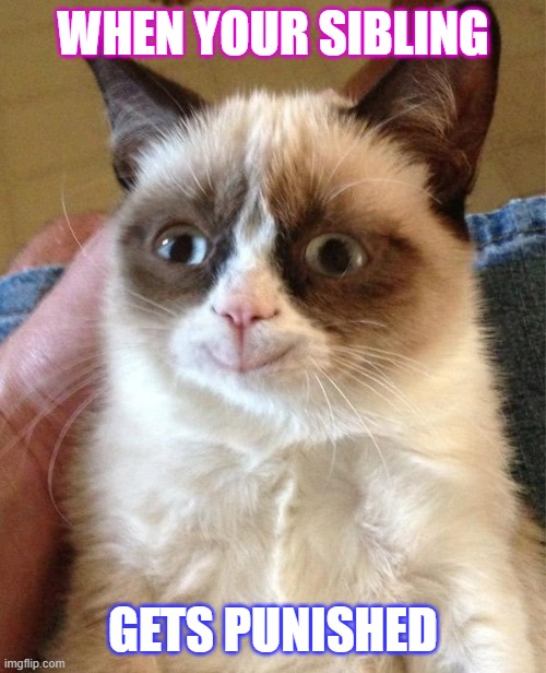 Grumpy Cat Happy | WHEN YOUR SIBLING; GETS PUNISHED | image tagged in memes,grumpy cat happy,grumpy cat | made w/ Imgflip meme maker