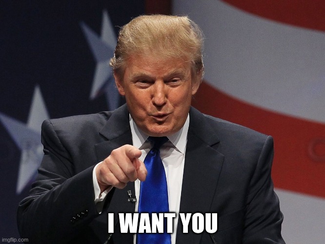 Donald trump | I WANT YOU | image tagged in donald trump | made w/ Imgflip meme maker