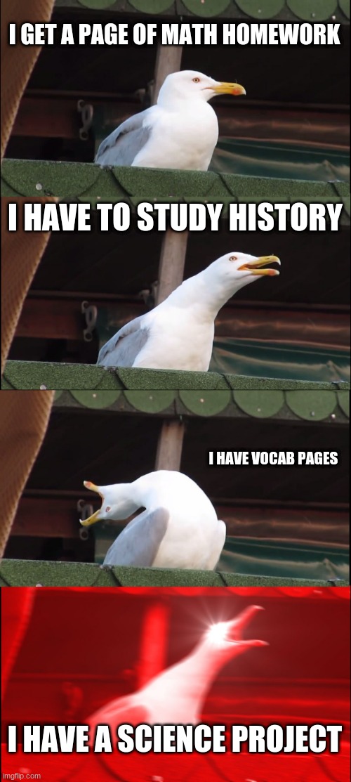 Inhaling Seagull | I GET A PAGE OF MATH HOMEWORK; I HAVE TO STUDY HISTORY; I HAVE VOCAB PAGES; I HAVE A SCIENCE PROJECT | image tagged in memes,inhaling seagull,school | made w/ Imgflip meme maker