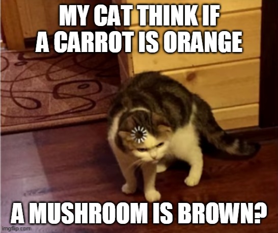 Bruh this | MY CAT THINK IF A CARROT IS ORANGE; A MUSHROOM IS BROWN? | image tagged in cat think | made w/ Imgflip meme maker