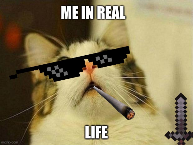 so tru | ME IN REAL; LIFE | image tagged in memes,scared cat | made w/ Imgflip meme maker