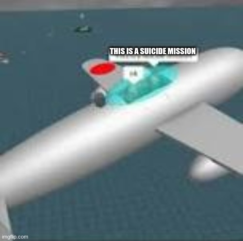 This is a suicide mission ok | THIS IS A SUICIDE MISSION | image tagged in this is a suicide mission ok | made w/ Imgflip meme maker