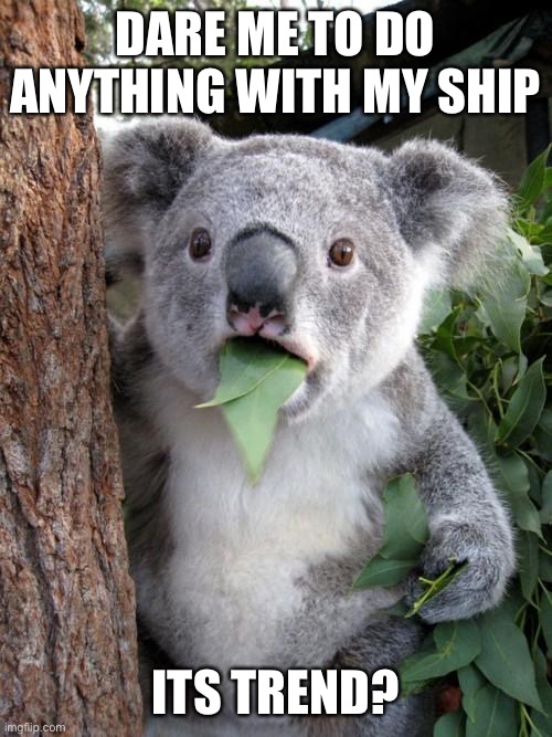 Surprised Koala Meme | DARE ME TO DO ANYTHING WITH MY SHIP; ITS TREND? | image tagged in memes,surprised koala | made w/ Imgflip meme maker