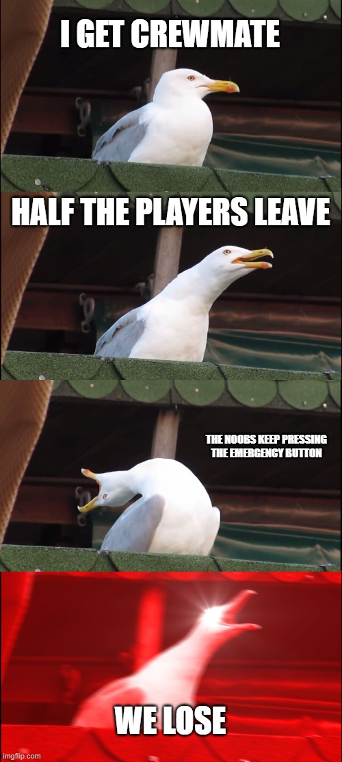 Inhaling Seagull | I GET CREWMATE; HALF THE PLAYERS LEAVE; THE NOOBS KEEP PRESSING THE EMERGENCY BUTTON; WE LOSE | image tagged in memes,inhaling seagull | made w/ Imgflip meme maker