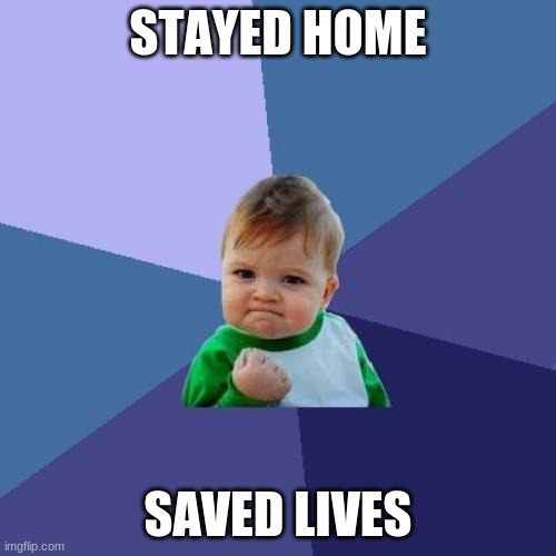 Success Kid Meme |  STAYED HOME; SAVED LIVES | image tagged in memes,success kid | made w/ Imgflip meme maker