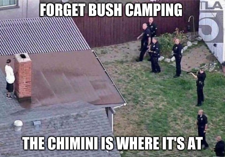 Fortnite meme | FORGET BUSH CAMPING; THE CHIMINI IS WHERE IT'S AT | image tagged in fortnite meme | made w/ Imgflip meme maker